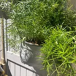Belle Chambre Avec Acces A Une Terrasse