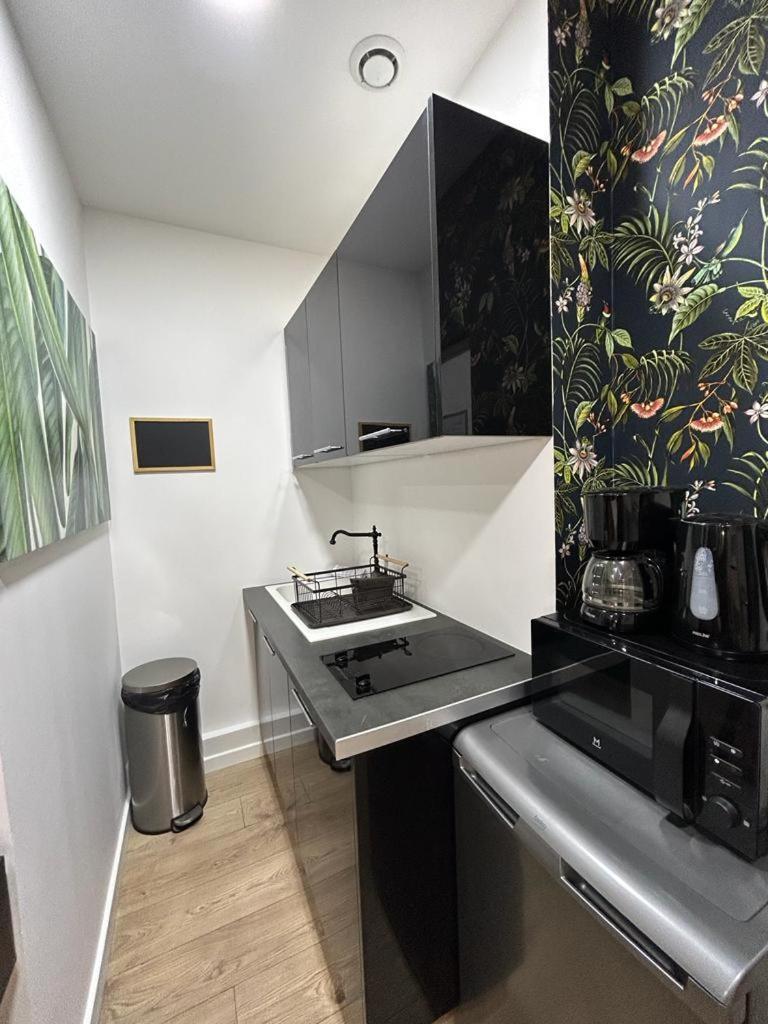 Stylish Modern Studio Apartment Paris
