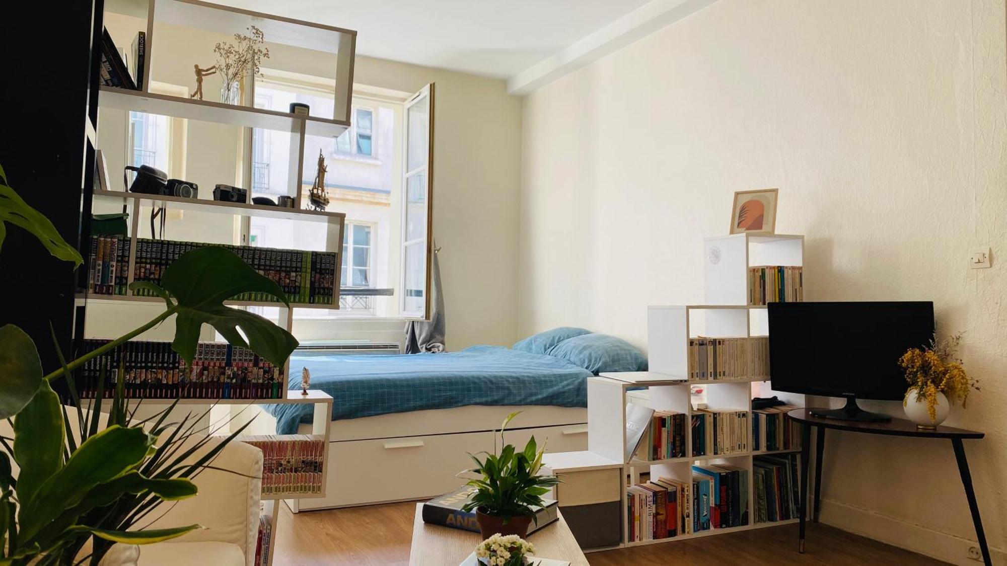 Charmant Studio Proche Pantheon - Voisin De Emily In Apartment *