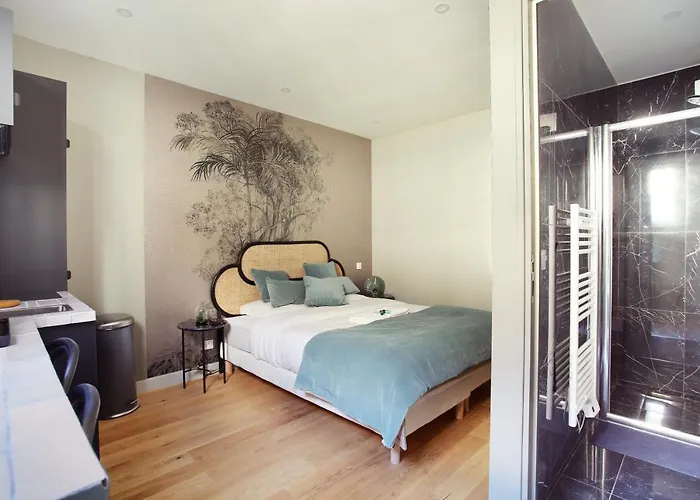 Residence centre de Paris-Montorgueil Caire
