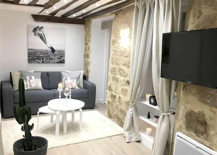 Charming 1BR appartement - Montorgueil / République