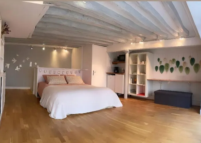 Beau Studio Gare De Lyon