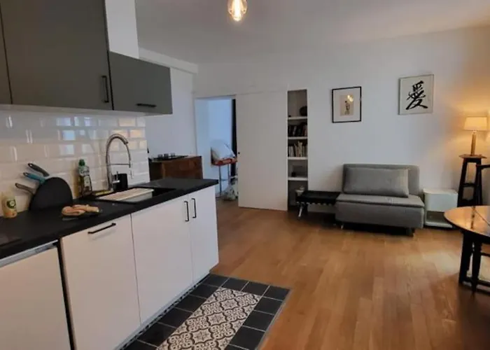 Terraced Apartment In Montmartre