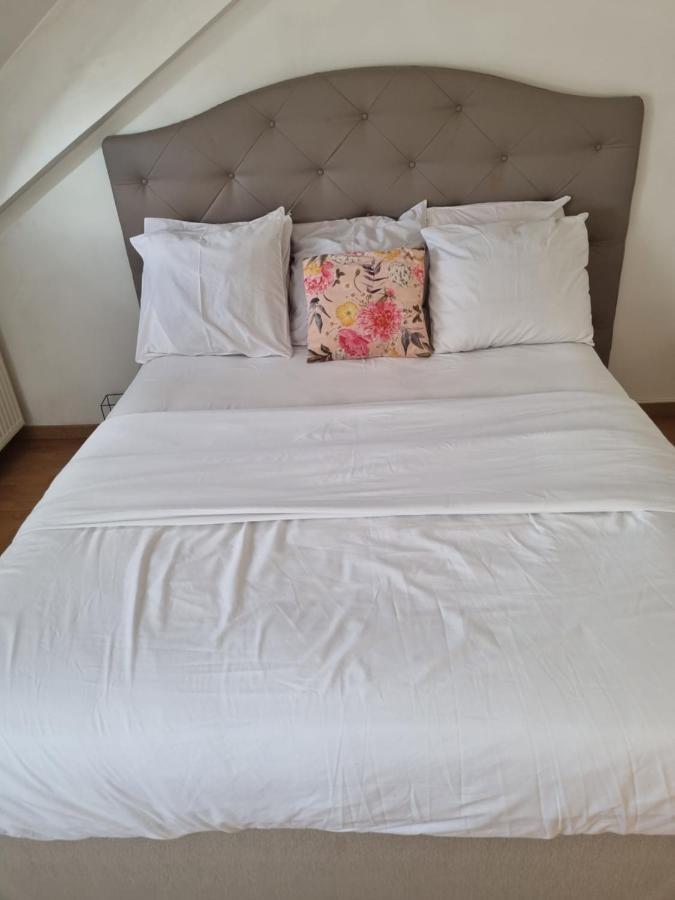 Apartment Spacieux Apparemment Au Centre De Chic Paris