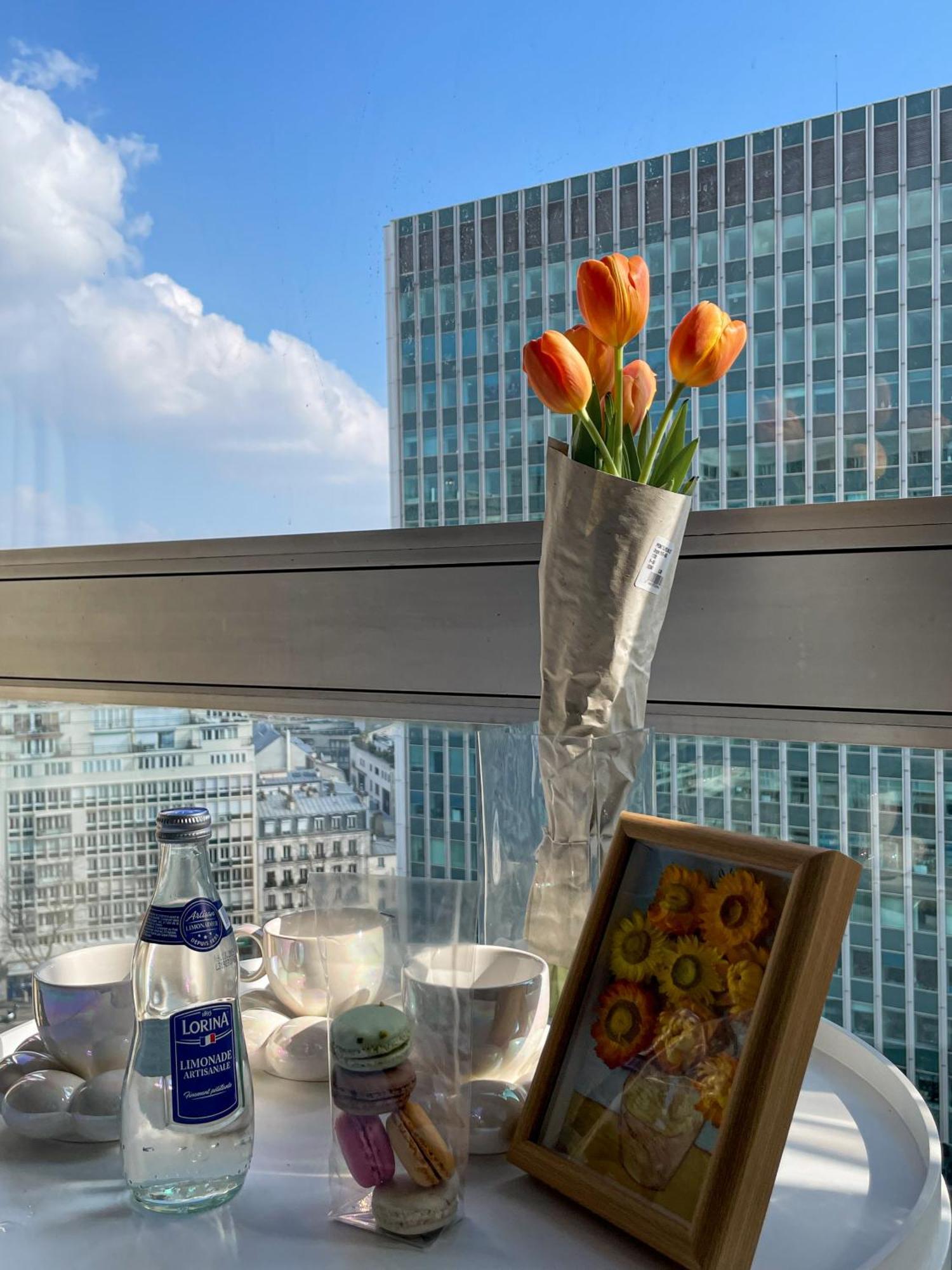 Apartment Sur Les Hauteurs De Montparnasse