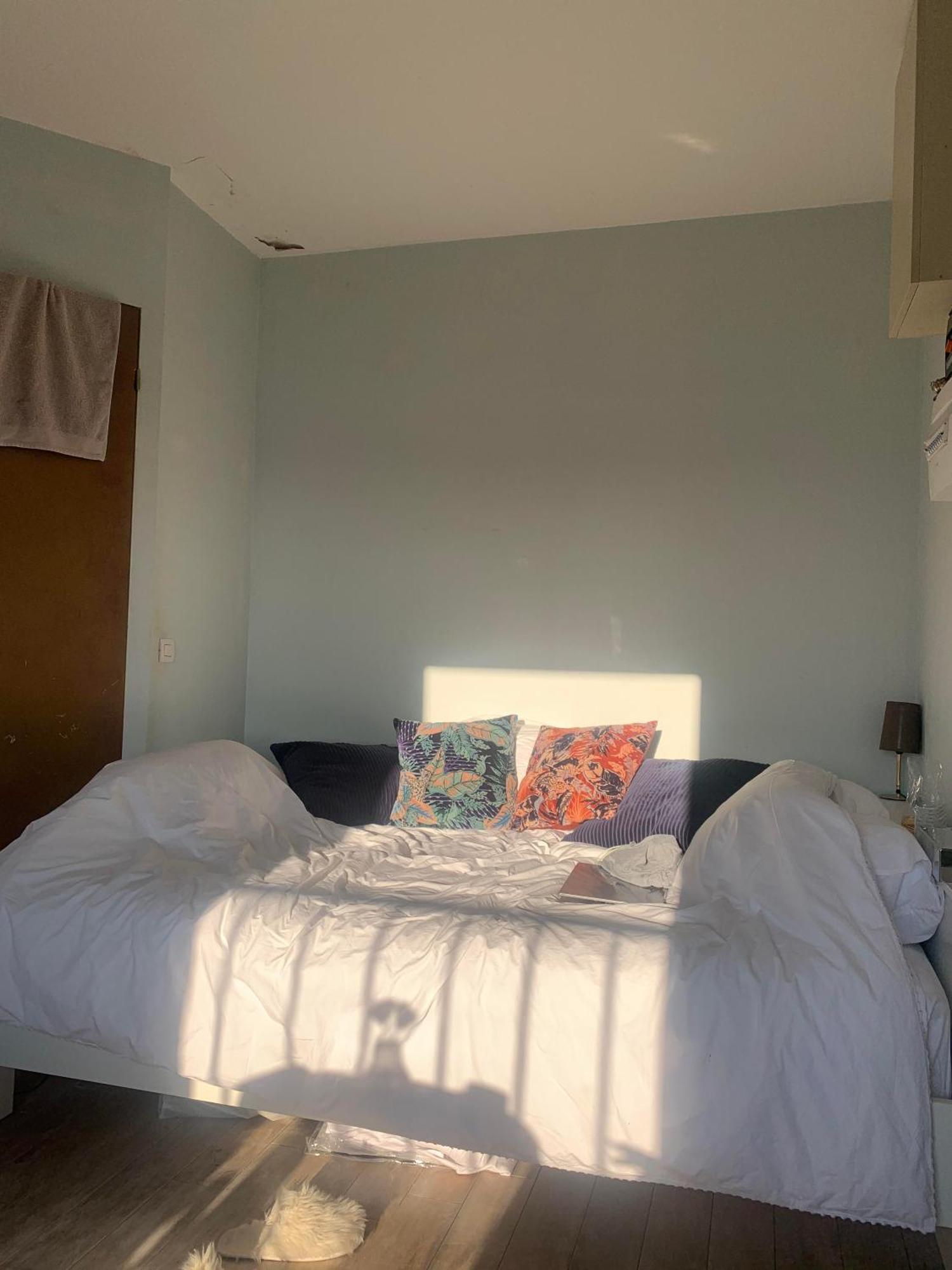 Cocon Tres Lumineux En Plein Coeur De Appartement