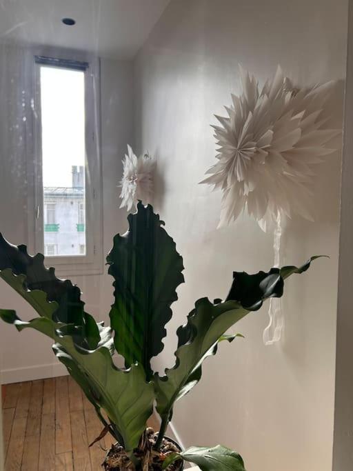 Un Fabuleux Decor Pour Un Chaleureux Appartement *