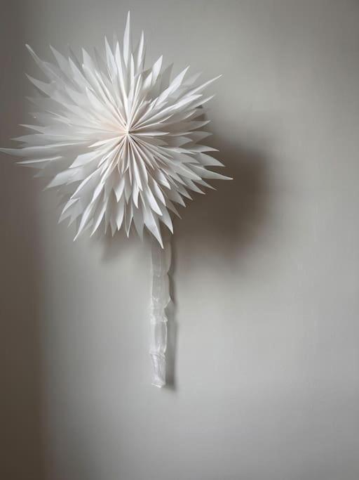 Appartement Un Fabuleux Decor Pour Un Chaleureux