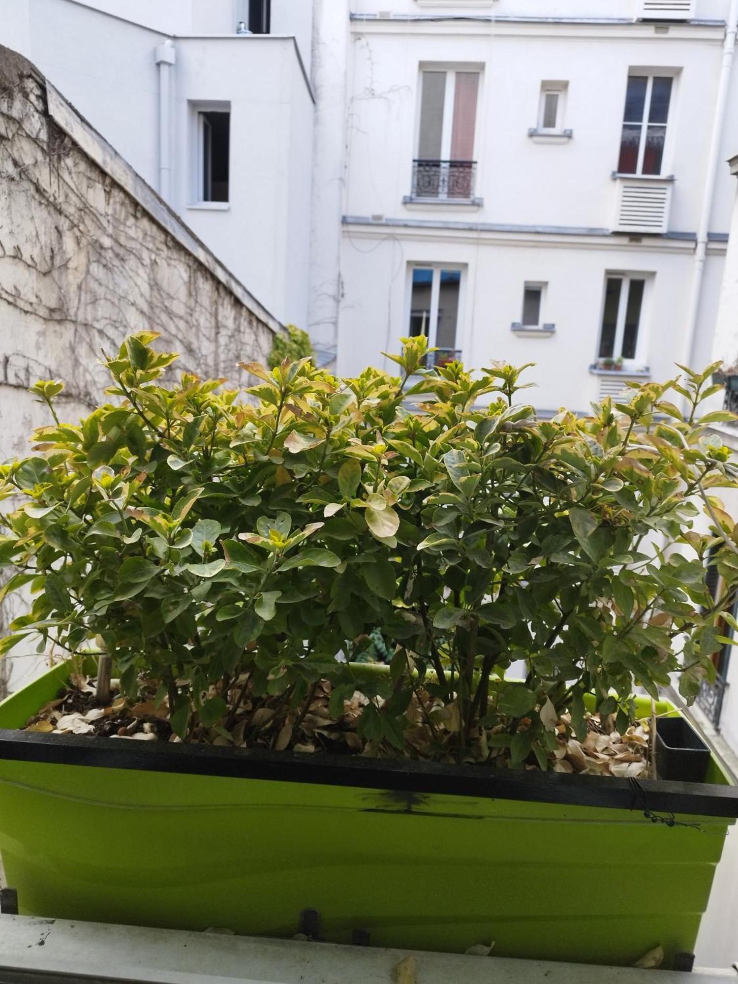 Appartement Petit Cocon Parisien ! Centre - Gare Du Nord *