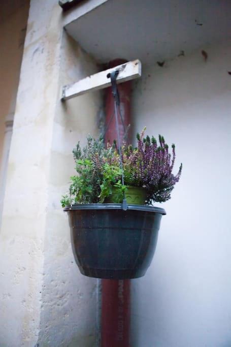 Charming In A Courtyard In Appartement Paris