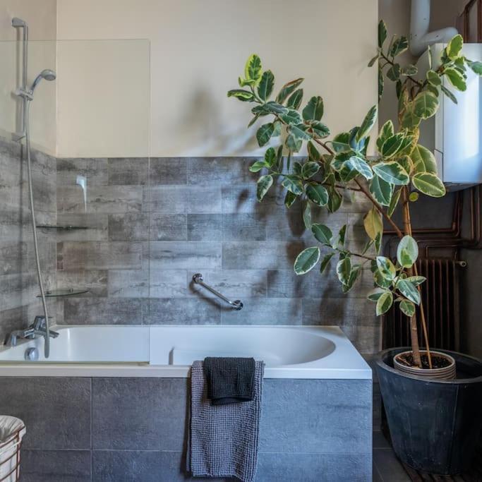 Boutique Saint Germain Appartement Paris