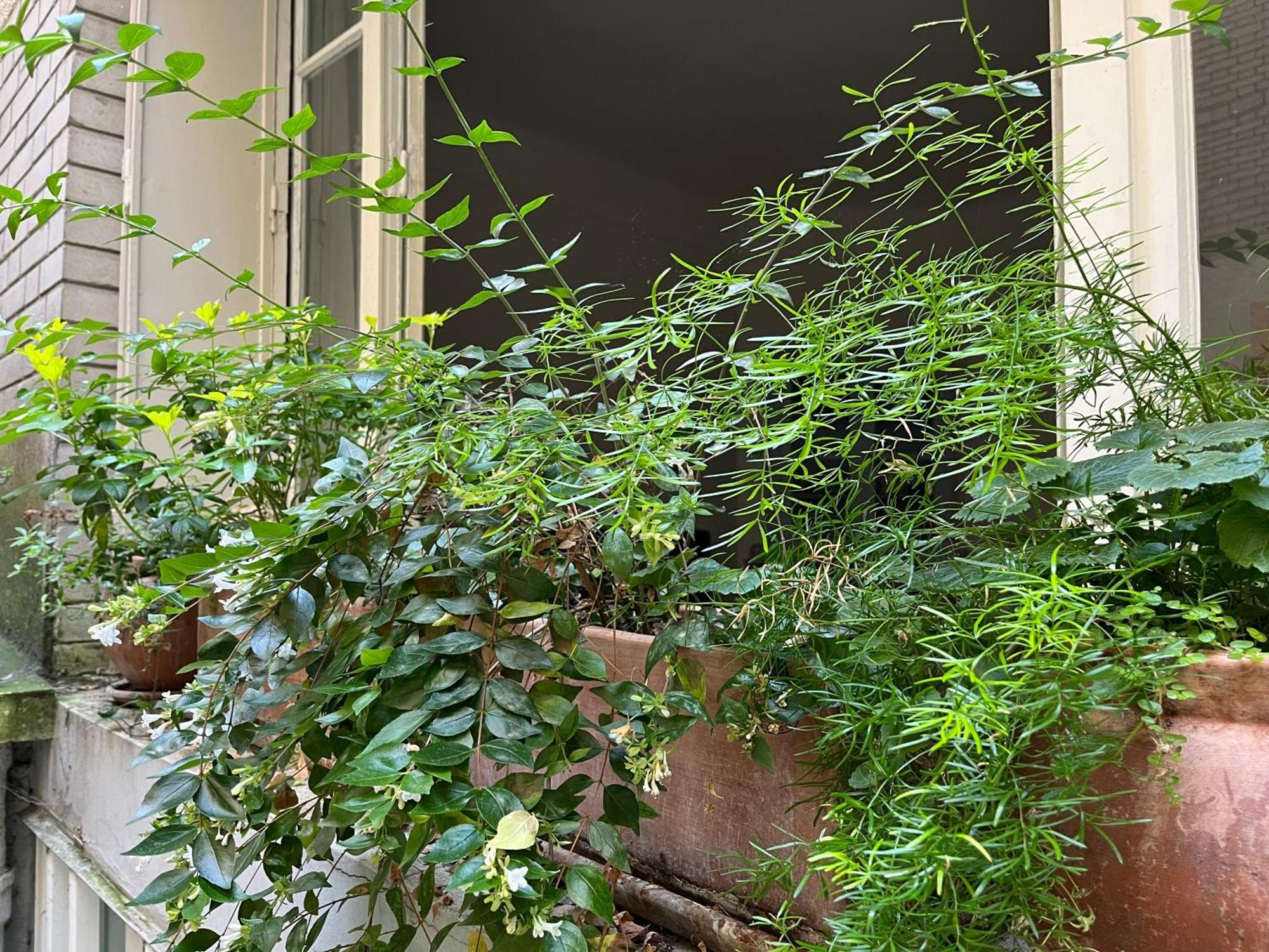 Comme Petite Maison Appartement