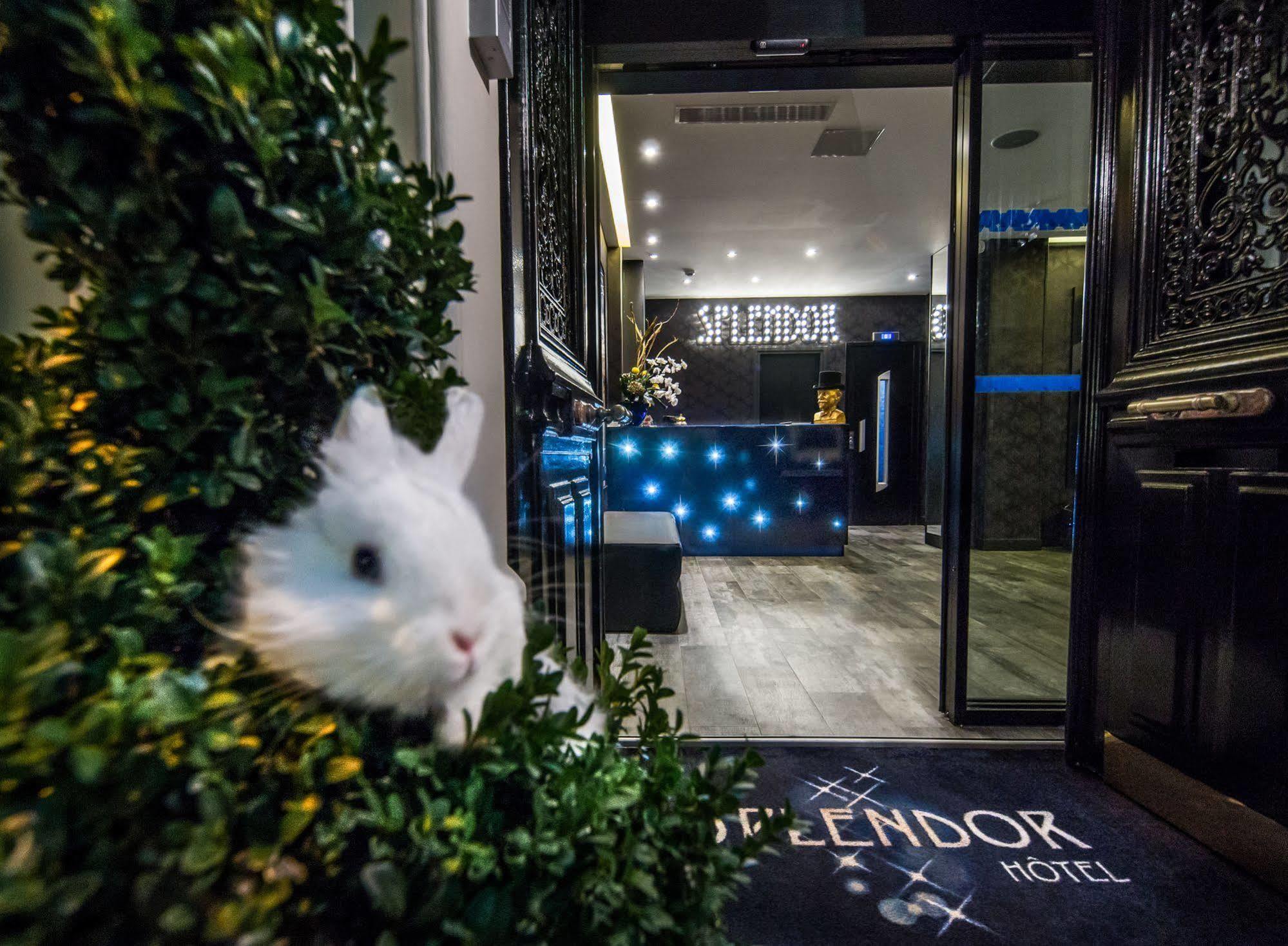 Splendor Elysees 3*
