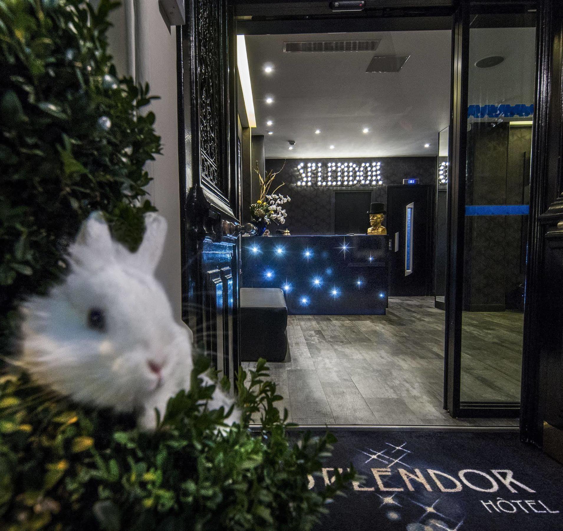 Hotel Splendor Elysees 3*