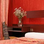 Hôtel Camélia International