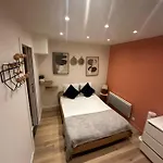 Modern And Warm Fully Renovated Split Level Apart Steps Away From The Grands Boulevard