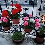 Appartement SAINTE ELISABETH