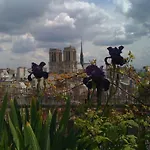 Notre Dame Paris Flat