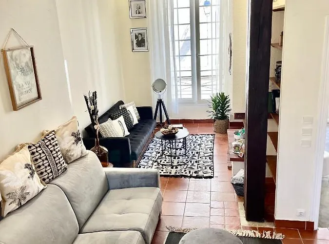 Marais Braque Appartement