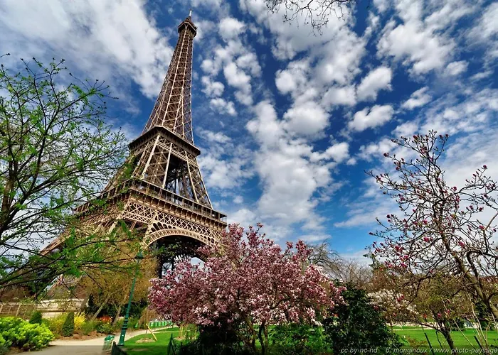 Studio Near Unesco - Invalides