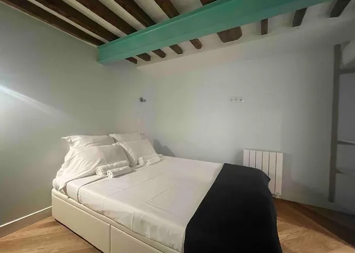 Paris Le Marais Duplex