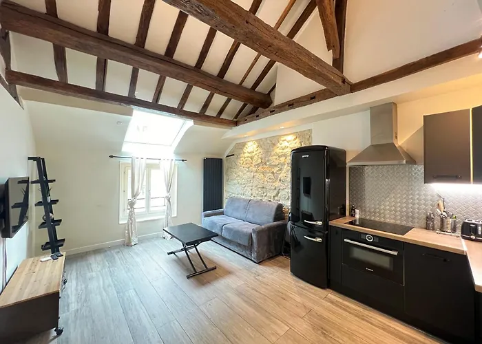 Grand Appartement Place Des Vosges, Marais/Bastille