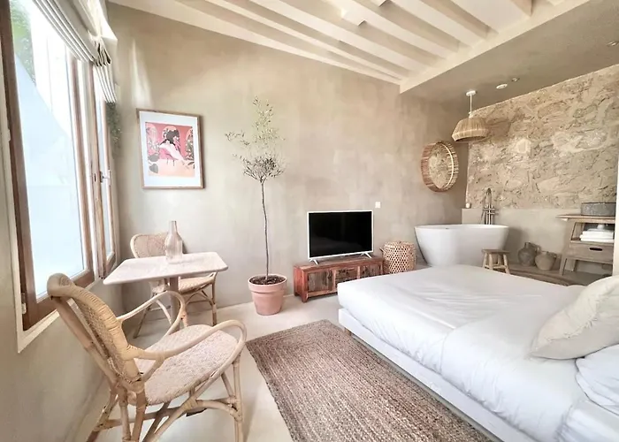 Studio De Charme Pour Un Sejour En Amoureux - 2P - Flat-Guest