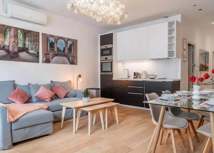 Appartement Spacieux Et Renove