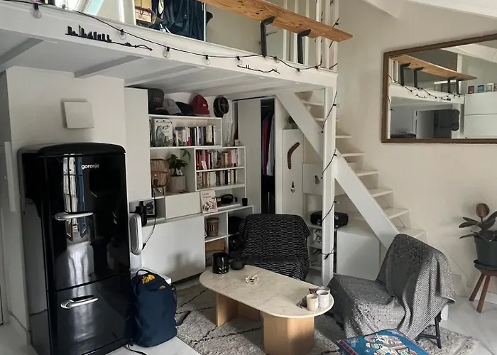 Charmand 40M2 Sous Les Toits Parisiens