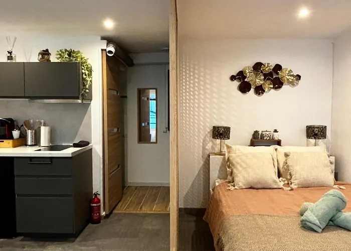 Studio Moderne Et Cosy - Grand Rex