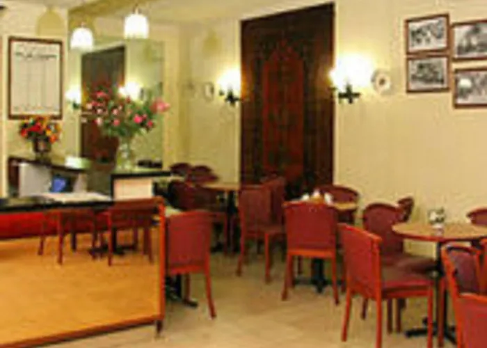 Hôtel Camélia International