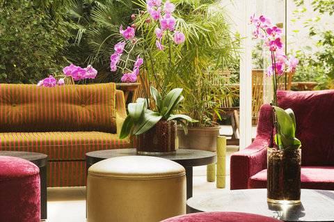 Orchidee Paris