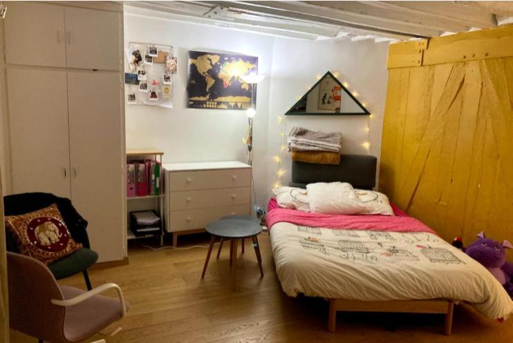 Apartment Studio Lumineux A Chatelet Paris