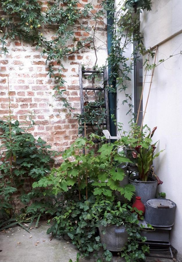 Le Nichoir Aux Oiseaux Avec Parking Appartement *