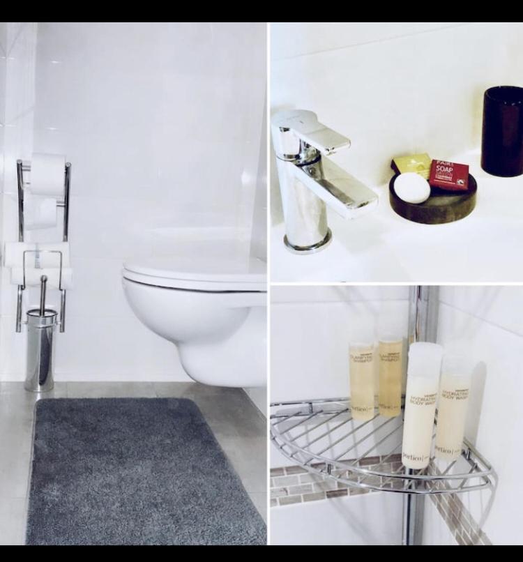 Luxury New Modern Apptmt In Center Of Apartment