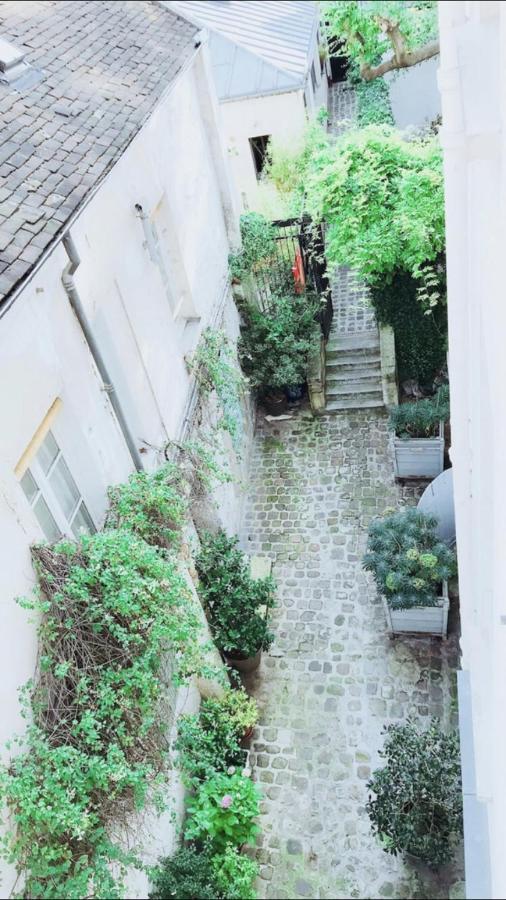 Luxury New Modern Apptmt In Center Of Apartment *