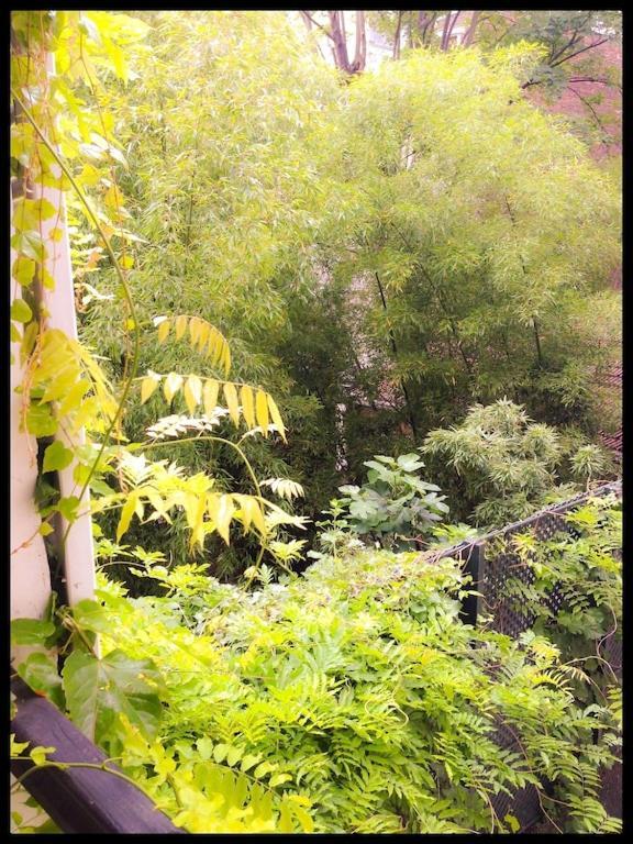 High Standing 2-room In Latin Quarter * Paris