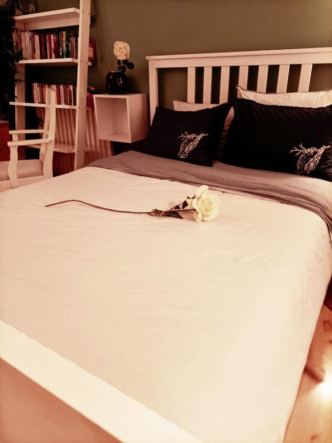 Accueillant Au Coeur De 30 M² Inclus Apartment