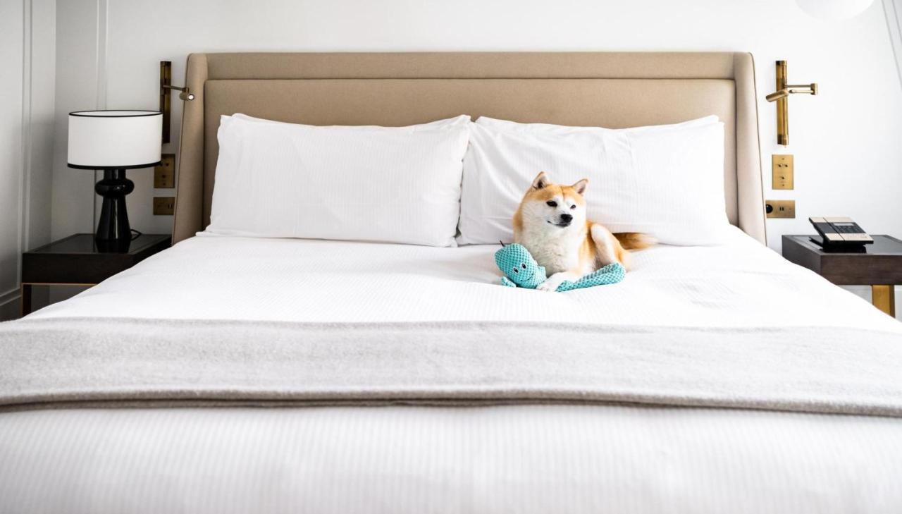 Hotel Kimpton - St Honore By Ihg