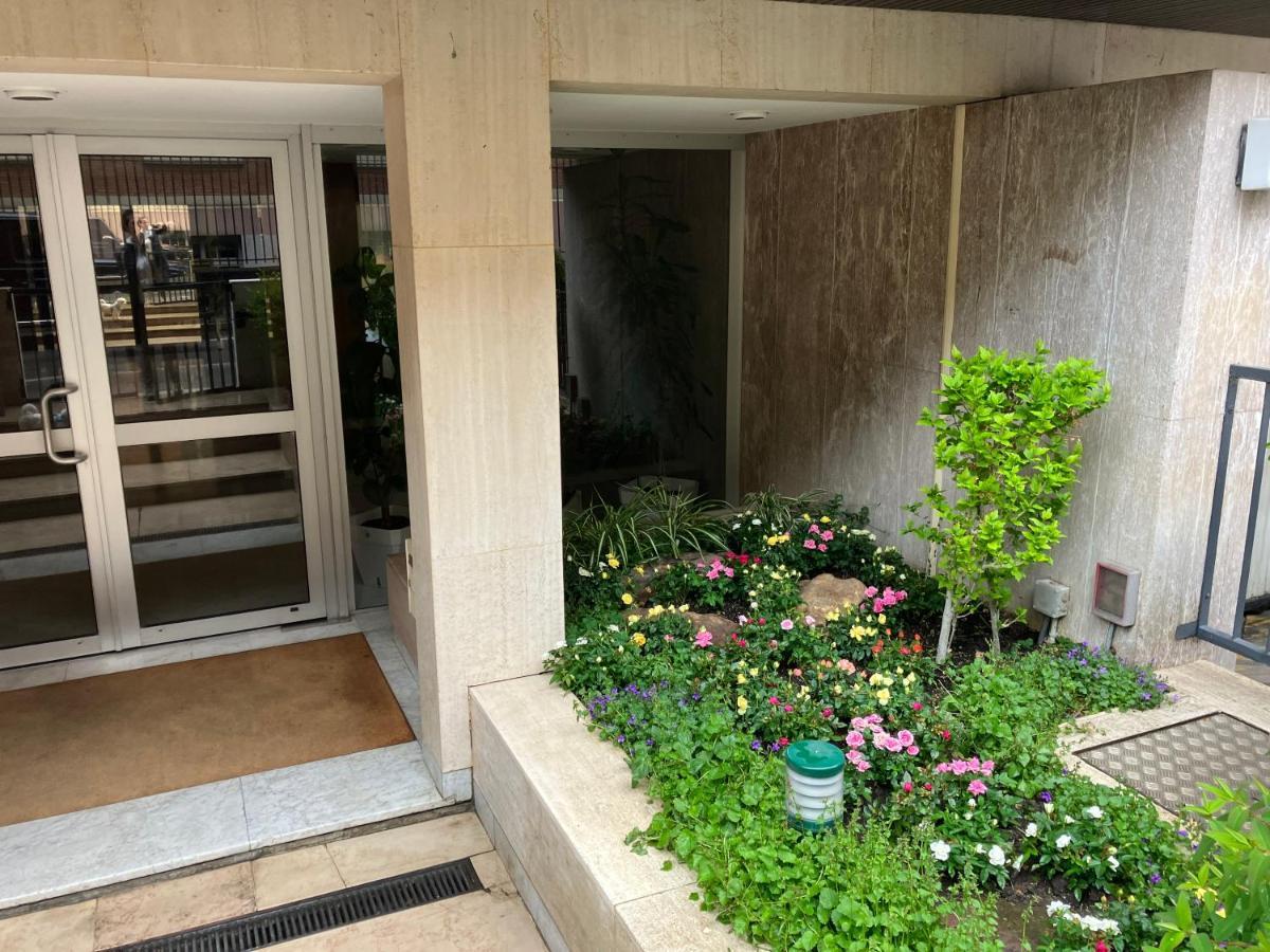 42m Terrace *