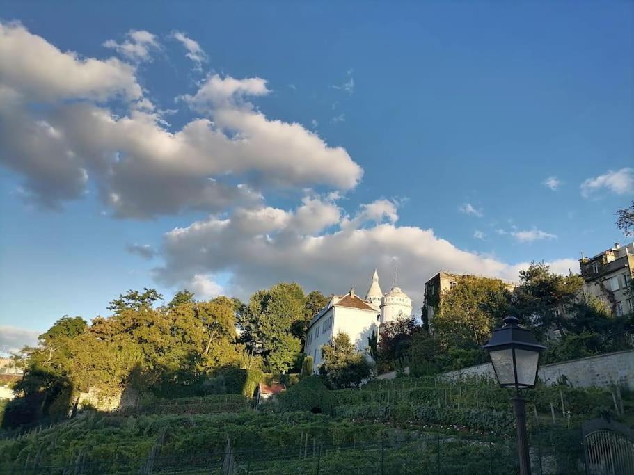 Appartement Avec Vue Exceptionnelle A Montmartre. *