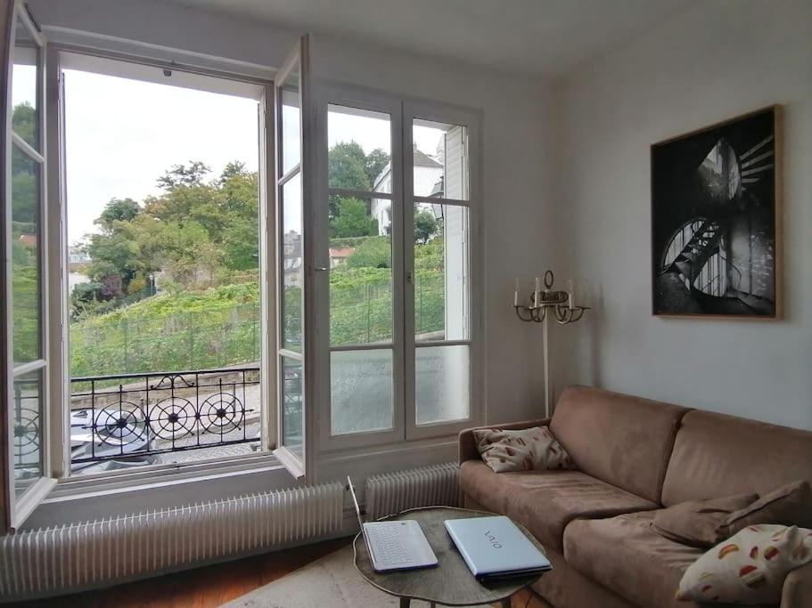 Avec Vue Exceptionnelle A Montmartre. Appartement Paris