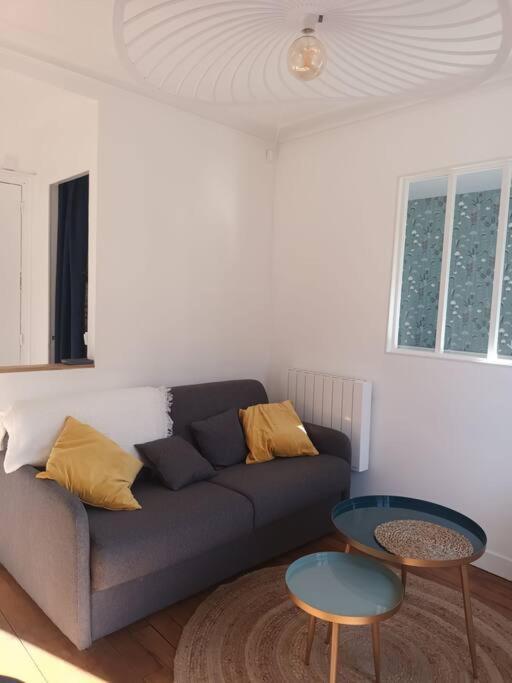 Tres Parisien Et Ensoleille Appartement