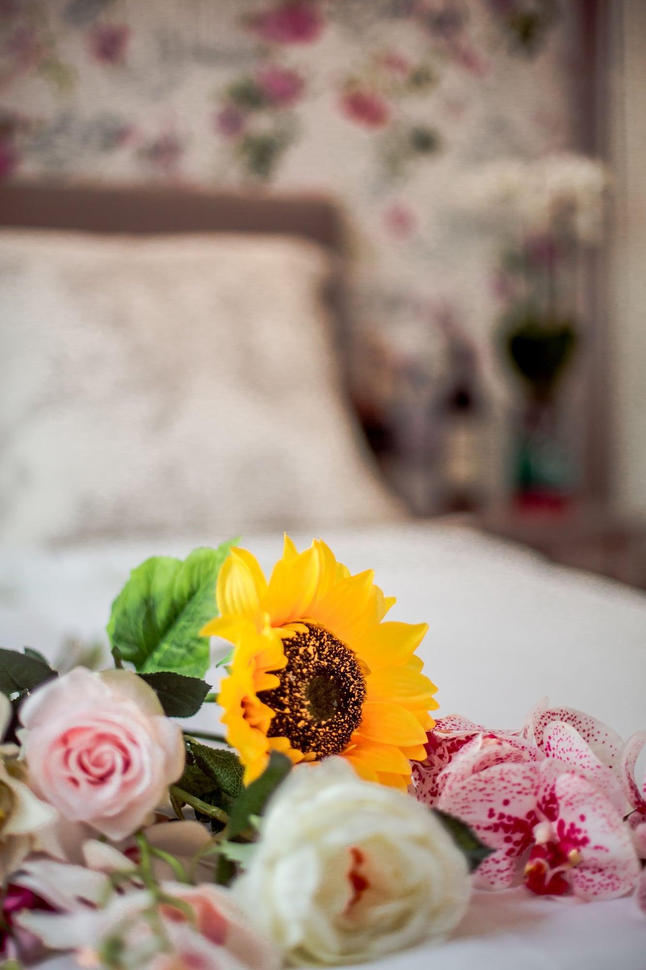 Bed & Breakfast La Maison Gobert Particulier Paris