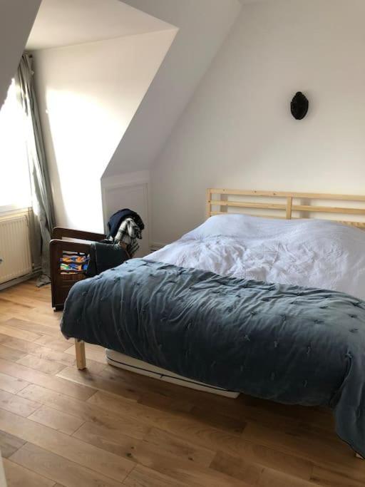 Duplex Refait A Neuf Calme Et Lumineux Paris