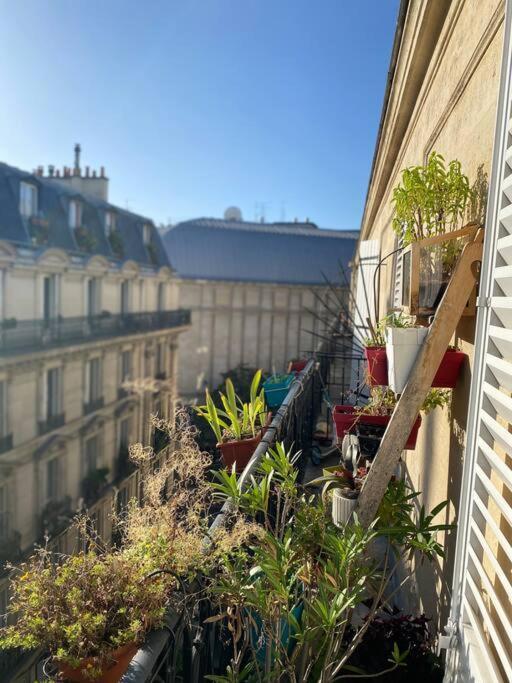 Tres Lumineux Paris