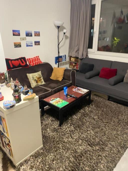 Appartement Beau A Balcon Vue Tour Eiffel & Parking Paris