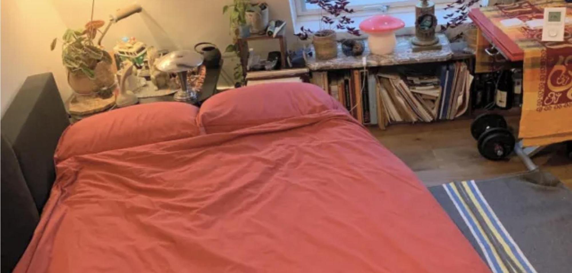 Séjour chez l'habitant Sous Les Toits De Shared Place Paris
