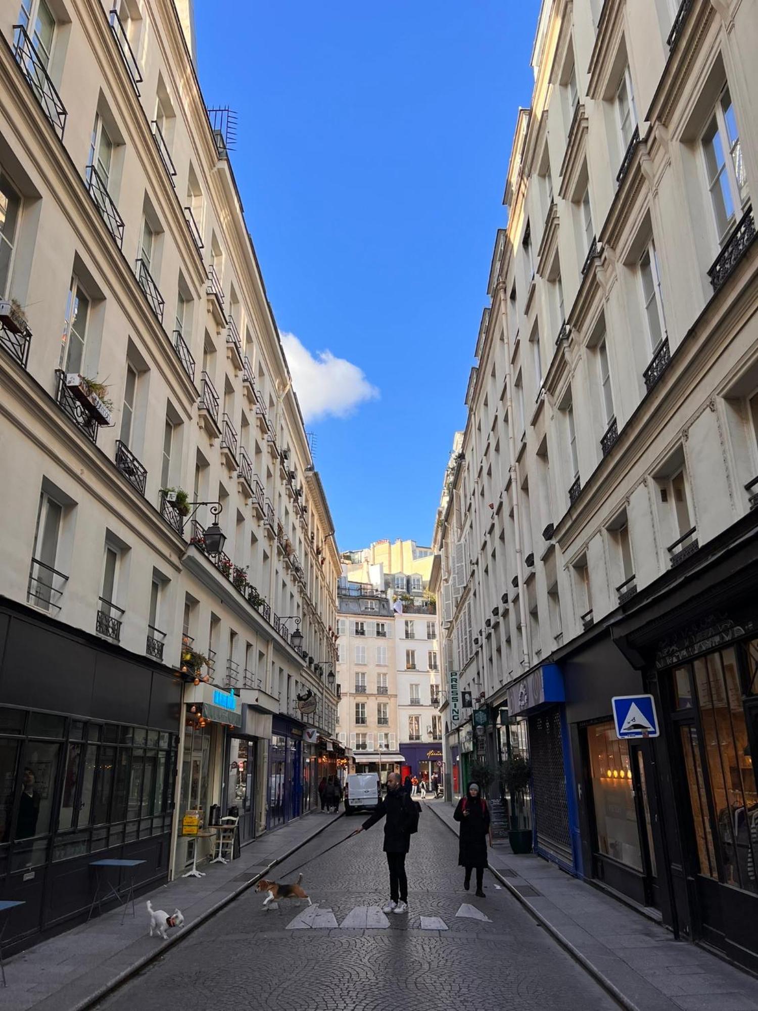 Luxe Louvre Apartment Paris