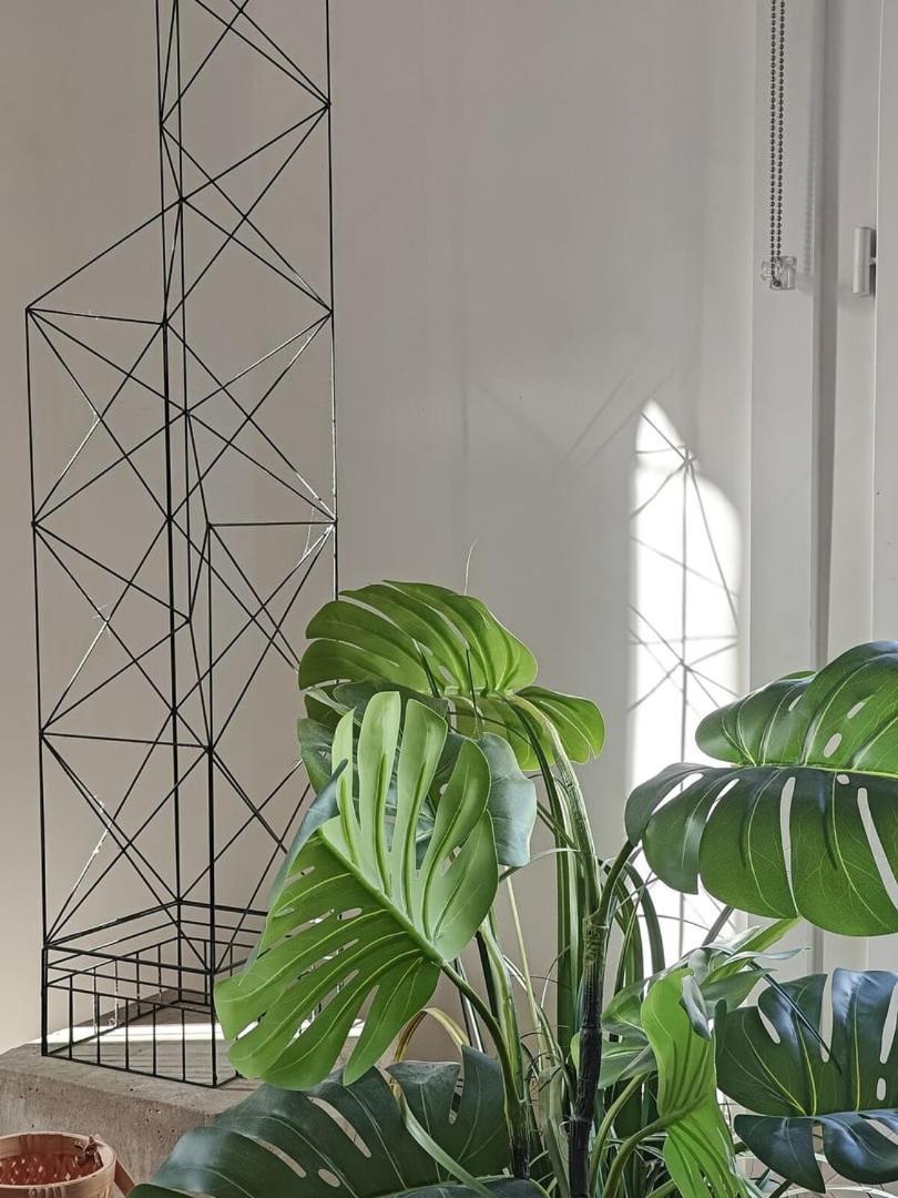 Apartment Saint-germain-des-pres Story *
